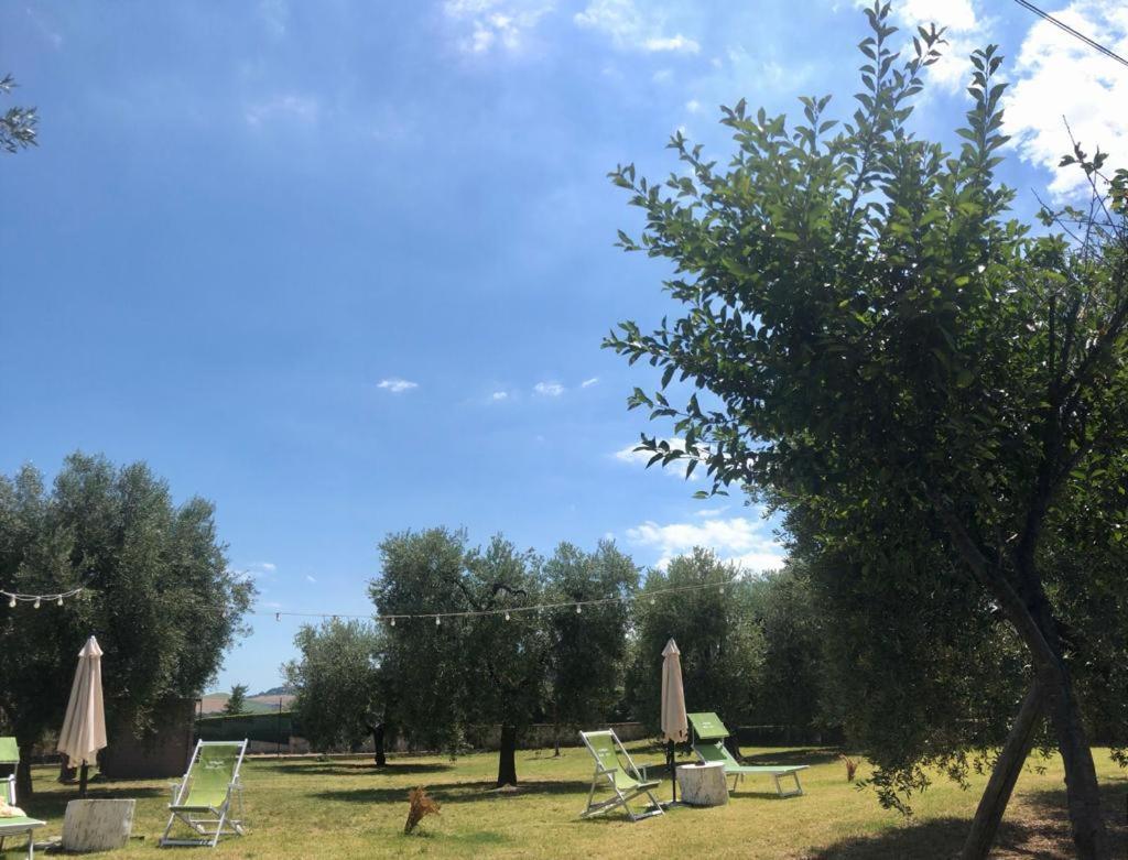 Pensione Degli Ulivi Porto Sant'Elpidio Exterior photo