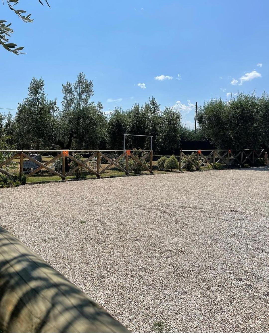 Pensione Degli Ulivi Porto Sant'Elpidio Exterior photo